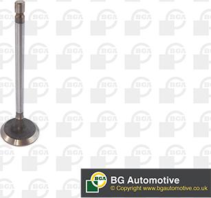 BGA V611981 -