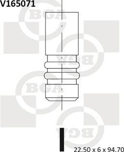 BGA V165071 - Izplūdes vārsts