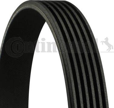 Contitech 6PK2575 - Ķīļrievu siksna