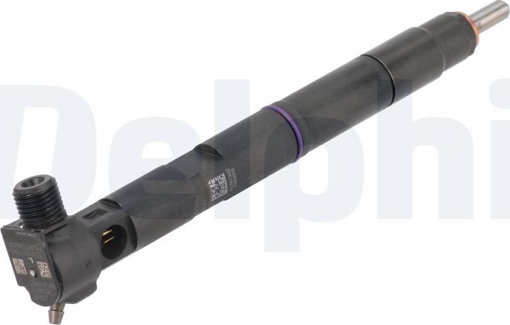 Delphi 28540276 - Smidzinātājs