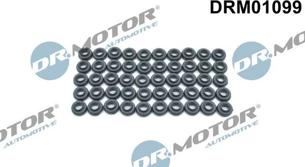 Dr.Motor Automotive DRM01099 - Blīve