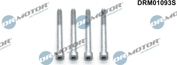 Dr.Motor Automotive DRM01093S - Skrūve