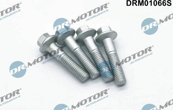 Dr.Motor Automotive DRM01066S - Skrūve