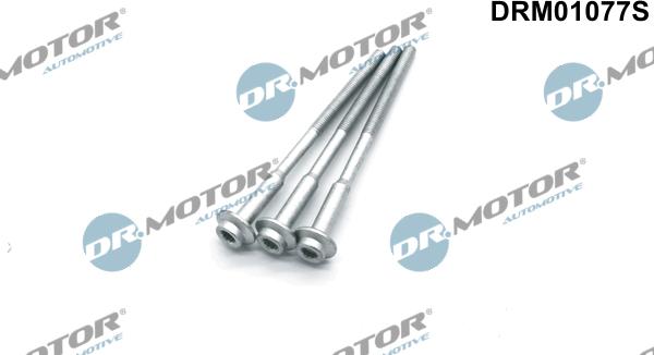 Dr.Motor Automotive DRM01077S - Skrūve