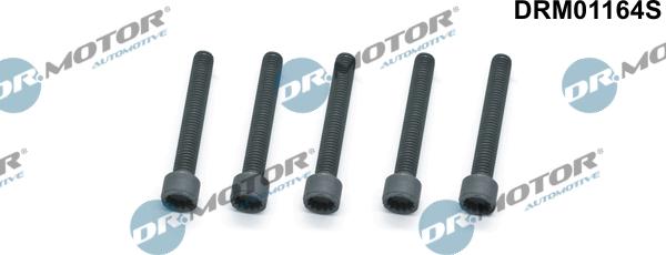 Dr.Motor Automotive DRM01164S - Skrūve