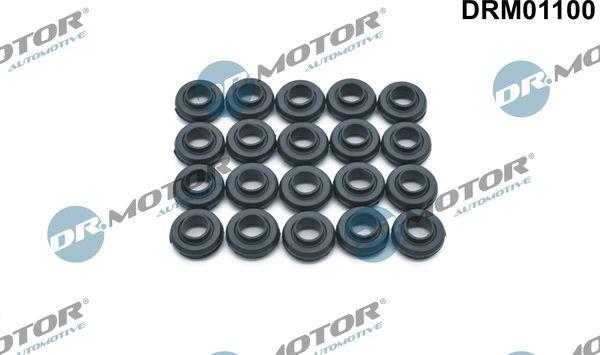 Dr.Motor Automotive DRM01100 - Blīve