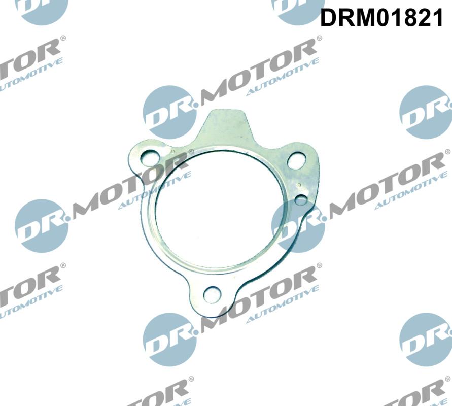 Dr.Motor Automotive DRM01821 - Blīve