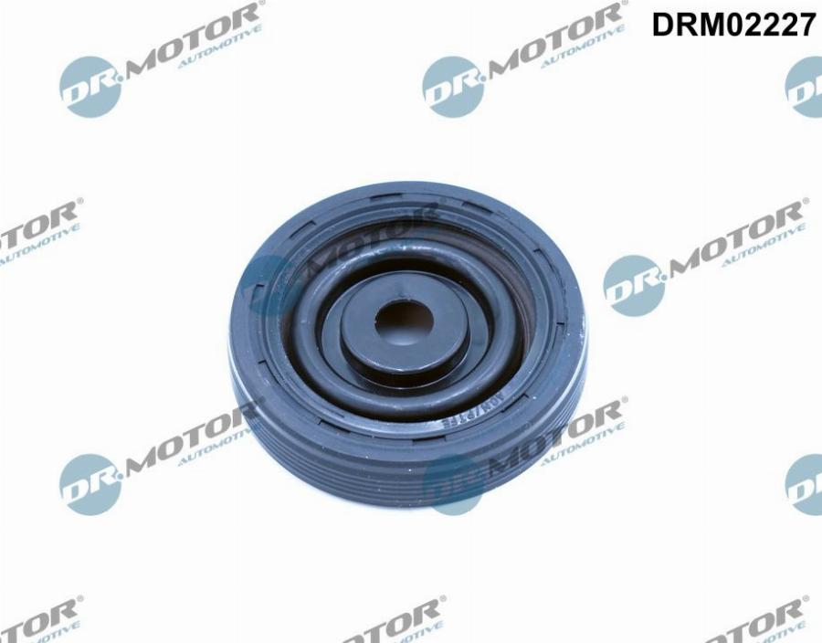 Dr.Motor Automotive DRM02227 - Vārpstas