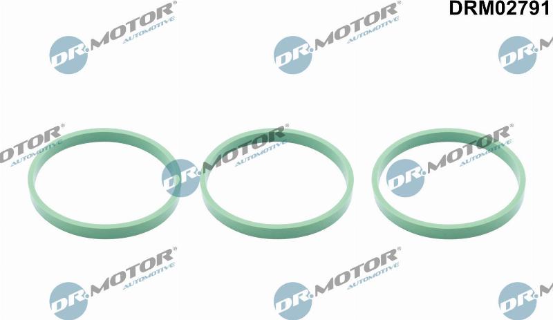 Dr.Motor Automotive DRM02791 - Blīve