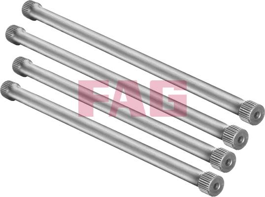 FAG 813000130 - Balstiekārtas komplekts, Atsperes