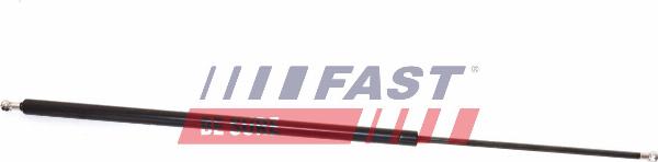 Fast FT94837 - Gāzes atspere, Bagāžas