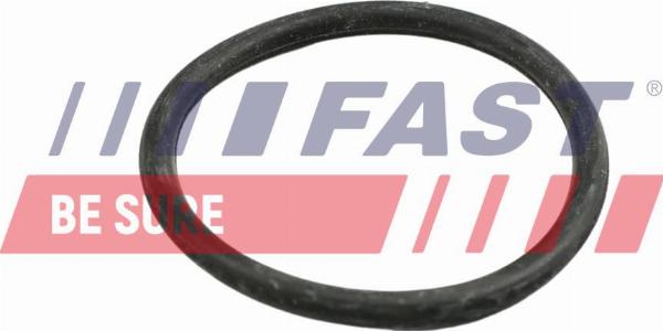 Fast FT49918 - Blīve, Dzesēšanas sķidruma