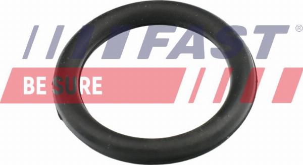 Fast FT49420 - Blīve, Ieplūdes kolektors