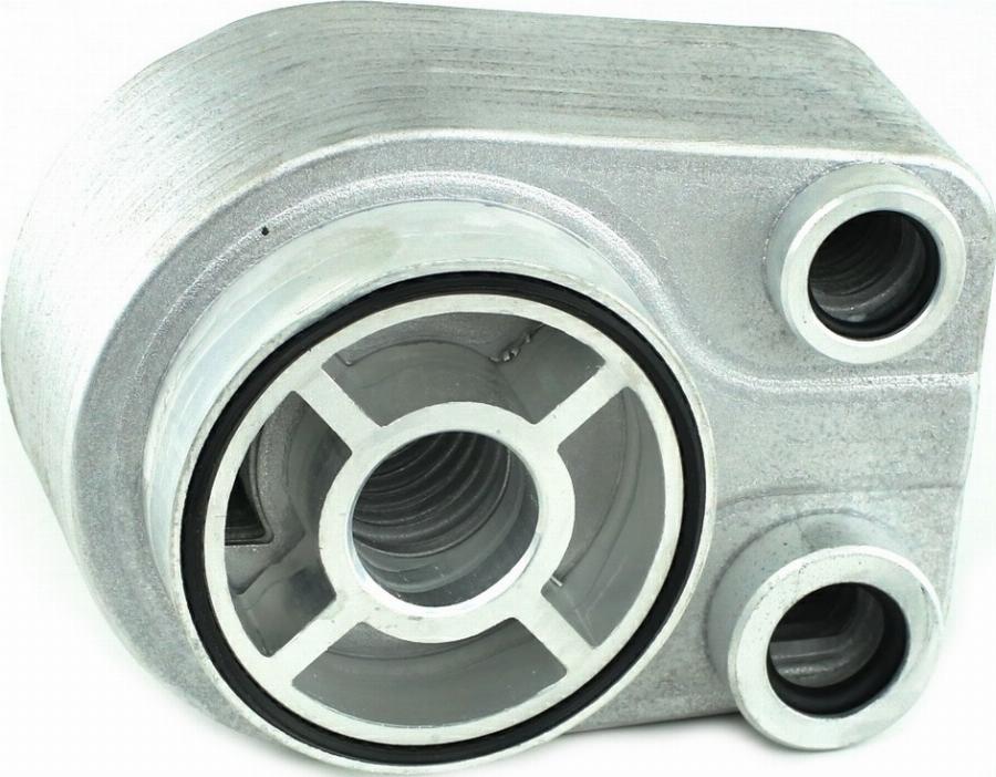 Fast FT55298 - Eļļas radiators, Motoreļļa
