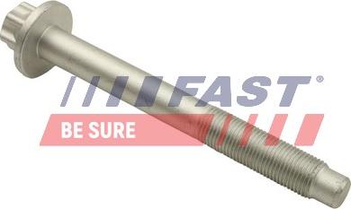 Fast FT14301 -