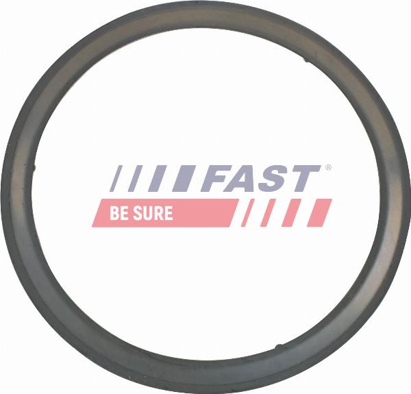 Fast FT84595 - Blīve, Izplūdes caurule