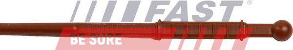 Fast FT80309 - Eļļas tausts