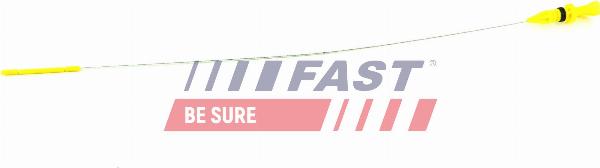 Fast FT80316 - Eļļas tausts
