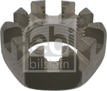 Febi Bilstein 02817 - Uzgrieznis, Ass