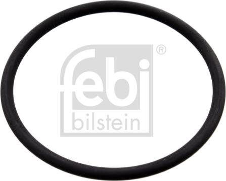 Febi Bilstein 100165 - Blīvgredzens