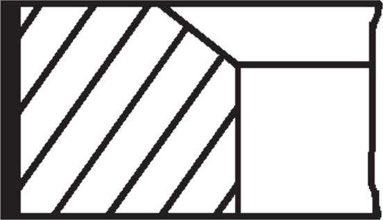 MAHLE 021 RS 10112 0N0 -