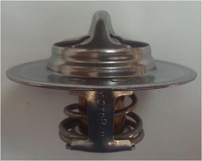 Motorad 701-91 - Termostats, Dzesēšanas šķidrums