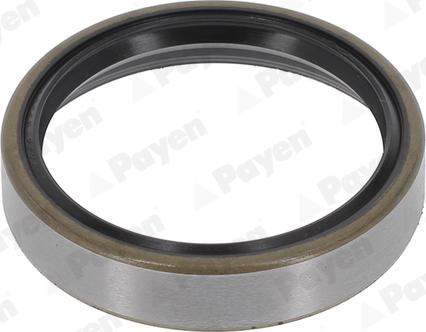 Payen NJ386 -