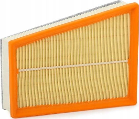 RENAULT 165462862R - Gaisa filtrs