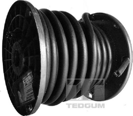 Tedgum 00814524 - Degvielas šļūtene