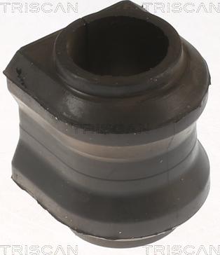 Triscan 850013875 - Bukse, Stabilizators