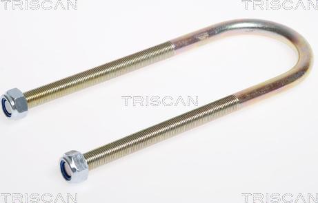 Triscan 8765100009 - Lāgas savilcējskava