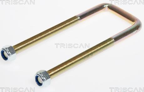 Triscan 8765100001 - Lāgas savilcējskava