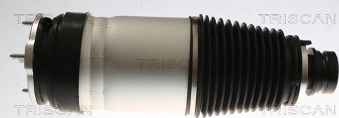 Triscan 8720 81101 - Pneimoatspere, Balstiekārta