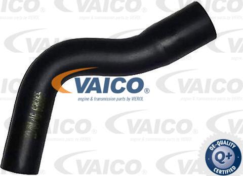 VAICO V40-1990 - Šļūtene, Kartera