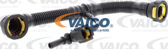 VAICO V42-0855 - Šļūtene, Kartera