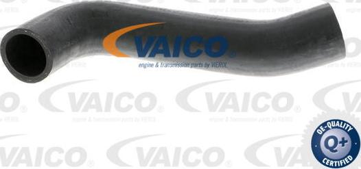 VAICO V10-2844 - Pūtes sistēmas gaisa