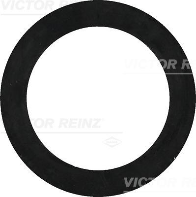 Victor Reinz 40-77322-00 - Blīvgredzens