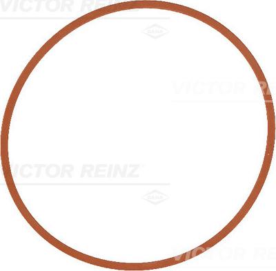 Victor Reinz 71-17146-00 - Blīve, Ieplūdes