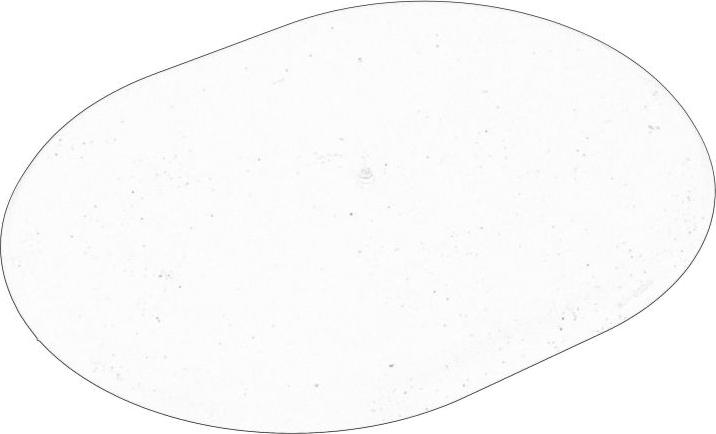 VAG 4F0809967B -